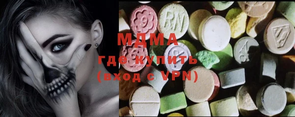 индика Новодвинск