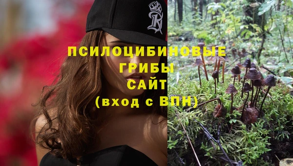 мдпв Новокубанск