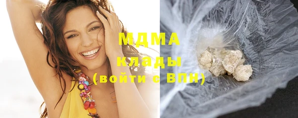 индика Новодвинск
