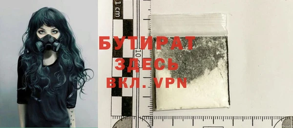 индика Новодвинск