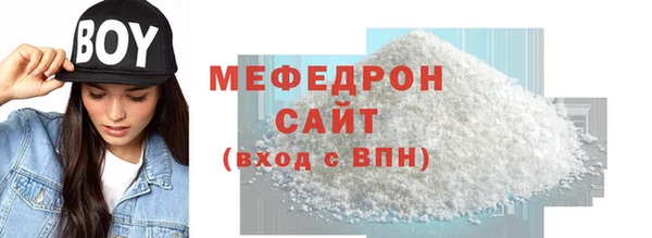 индика Новодвинск