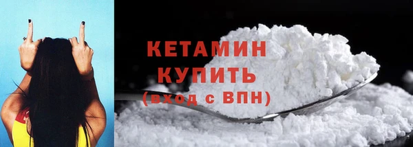 индика Новодвинск