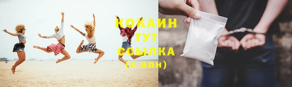 индика Новодвинск