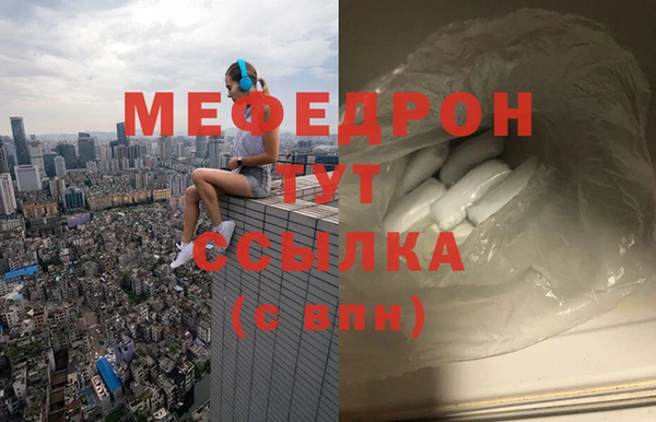 индика Новодвинск