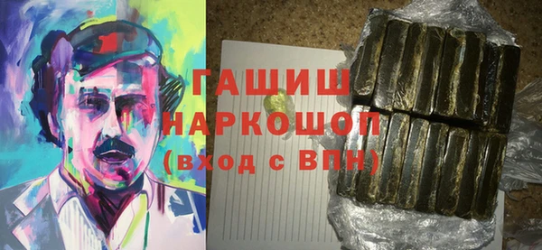 индика Новодвинск