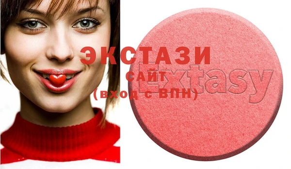 индика Новодвинск