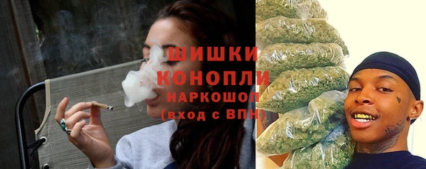 МДПВ Новозыбков