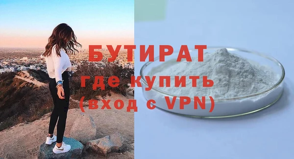 индика Новодвинск