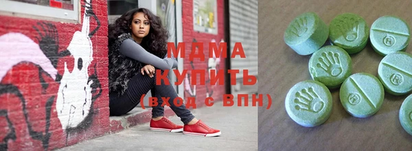 индика Новодвинск