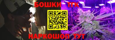 индика Бийск