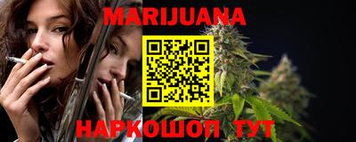 индика Бийск