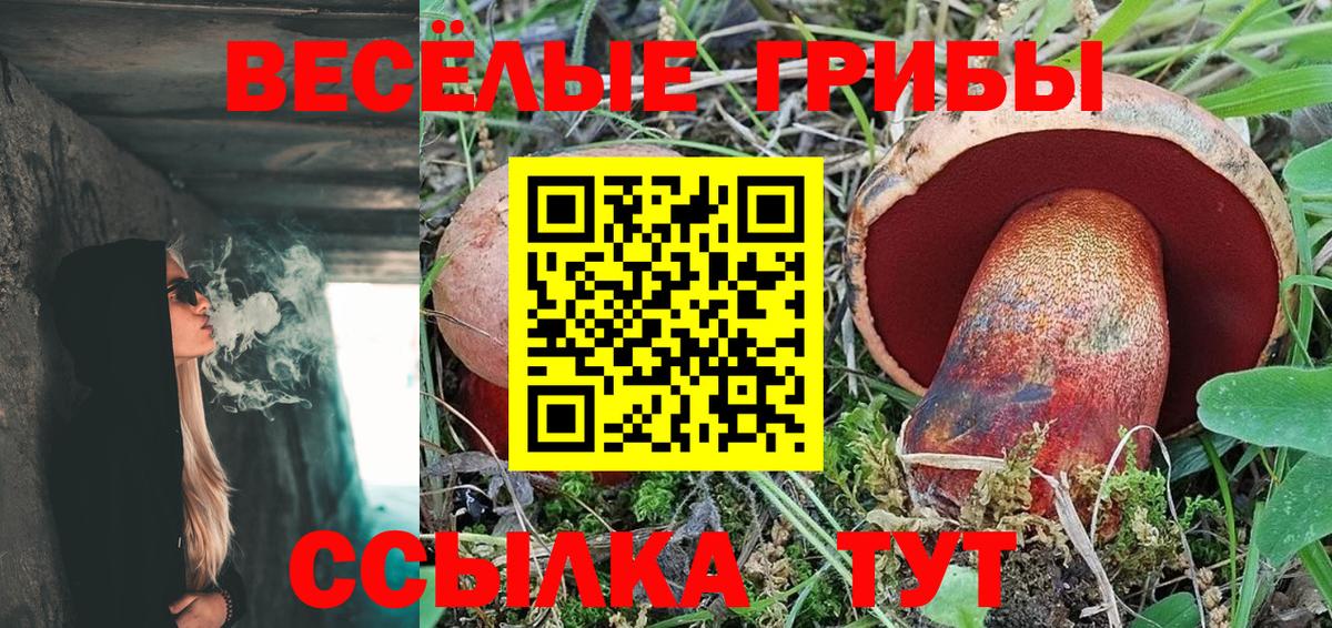 Псилоцибиновые грибы Psilocybine cubensis  Острогожск 